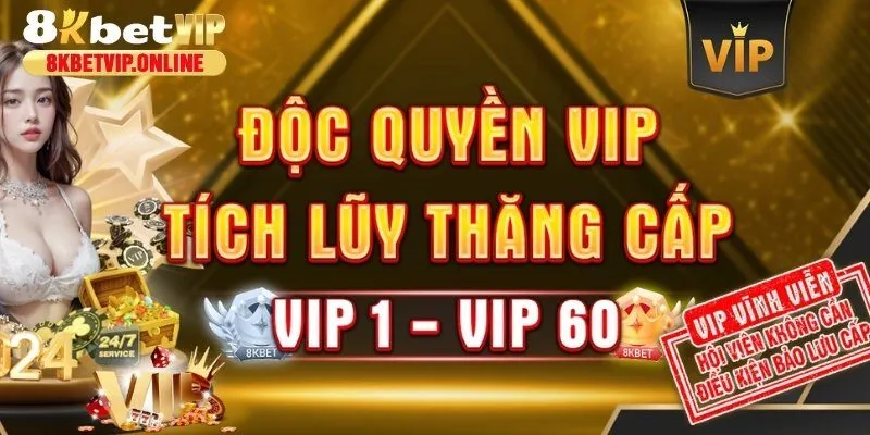 Đặc quyền của người chơi sở hữu tài khoản VIP
