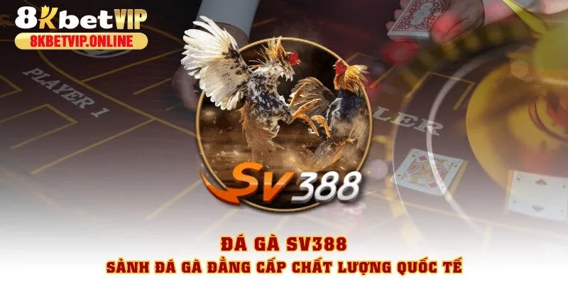 đá gà SV388