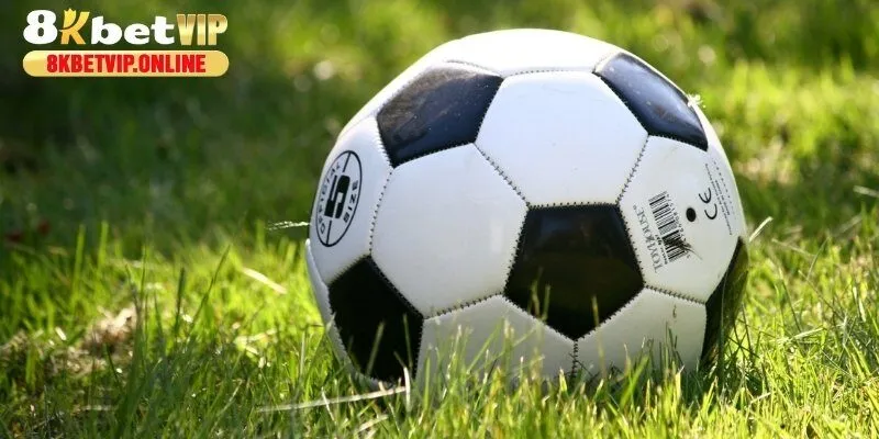 Những hình thức cược chẵn lẻ thông dụng nhất hiện nay